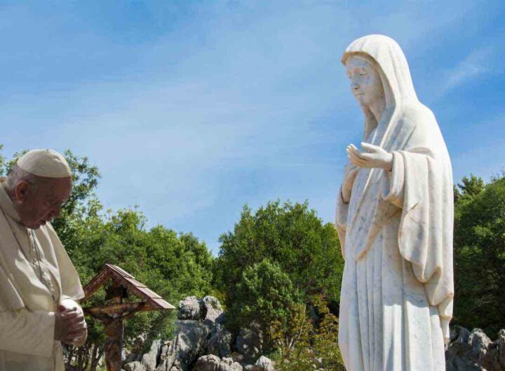 Papa Francesco il 28 agosto, che riconosce i frutti spirituali